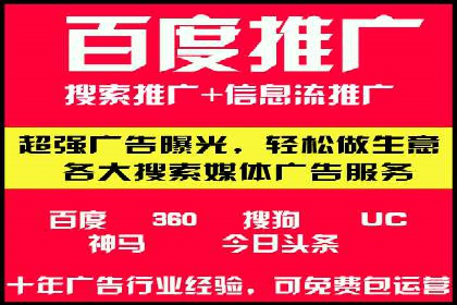 竞价托管实战案例：优化广告投放策略